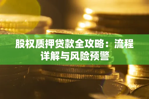 北京股权质押贷款全攻略：流程详解与风险预警