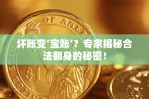 北京坏账变‘宝账’？专家揭秘合法翻身的秘密！