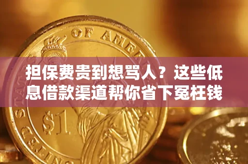 北京担保费贵到想骂人？这些低息借款渠道帮你省下冤枉钱