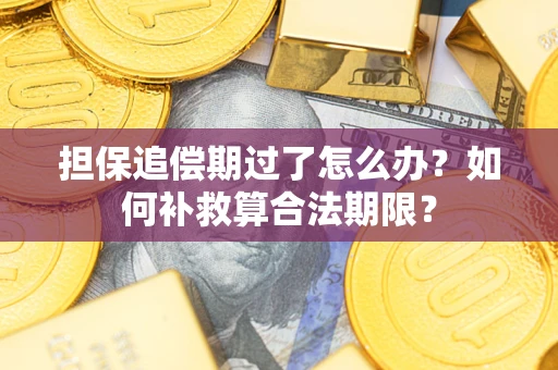 北京担保追偿期过了怎么办？如何补救算合法期限？