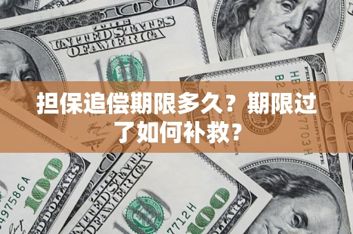 北京担保追偿期限多久？期限过了如何补救？