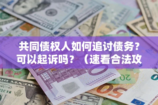 北京共同债权人如何追讨债务？可以起诉吗？（速看合法攻略）